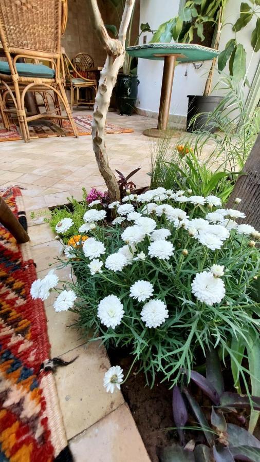 Lalla Mimouna * Marrakesh